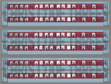 Adhesive Vinyl Coach Decals