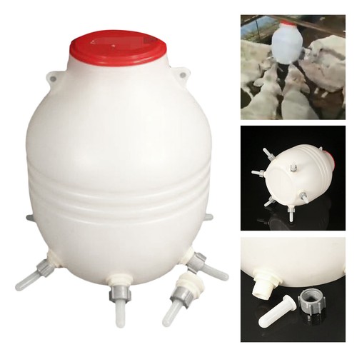 Lamb feeder milk - lamb,