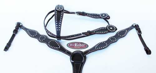 Horse tack bridle - horse, western