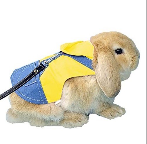 Bunny vest harness - bunny, leash