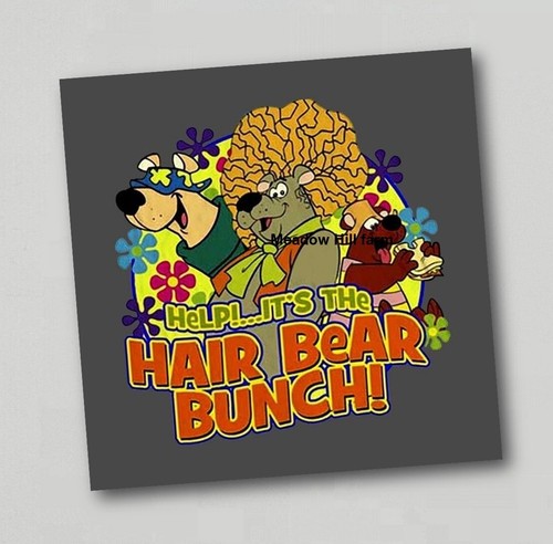Fridge magnet the hair bear - magnet,