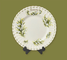 Royal Albert flower of the