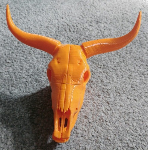 Bull cow skull - cow, with