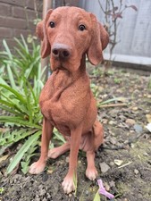 Vivid Arts Hungarian Vizsla