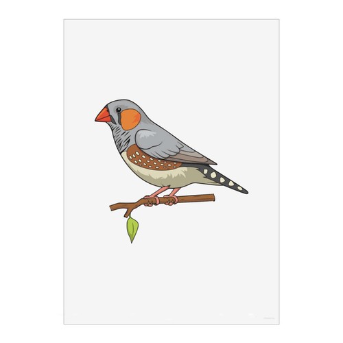 Zebra finch wall art - finch, '