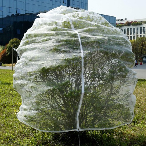 Garden plant tree fruit cover - plant,