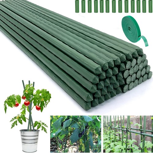 Green garden plant stakes - x,