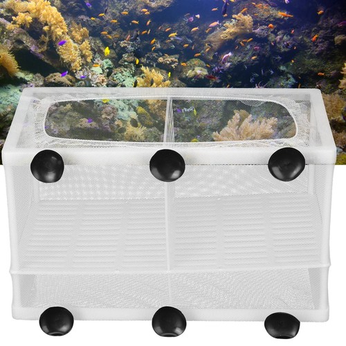Aquarium fish tank - aquarium,