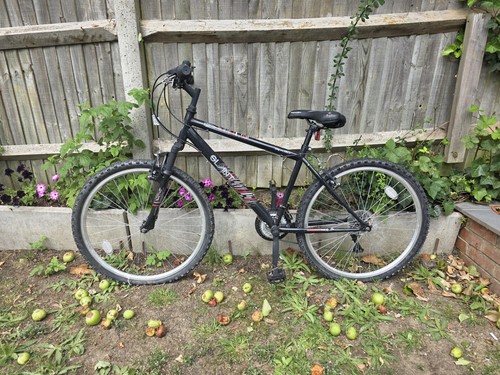 Apollo envy mountain bike - envy, 26
