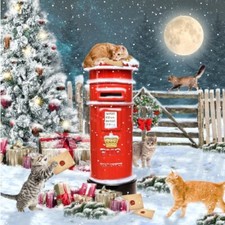 Our Very Own Charity Cat
