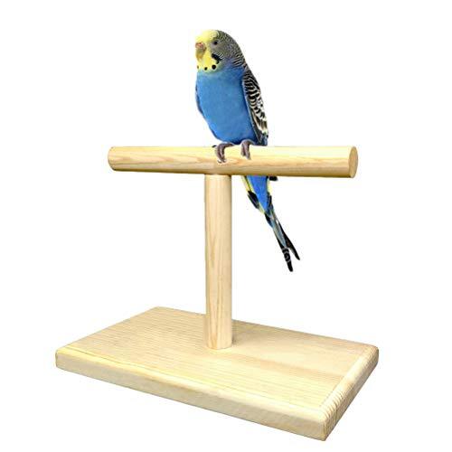 Bird training stand portable - training,