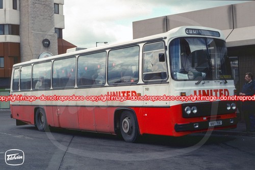 Bus photo united - bus,