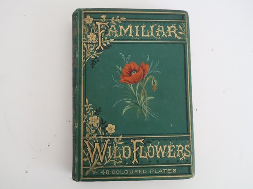 Vintage 1890s familiar - familiar, wild