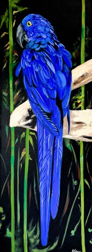 Blue macaw mixed media - mixed,
