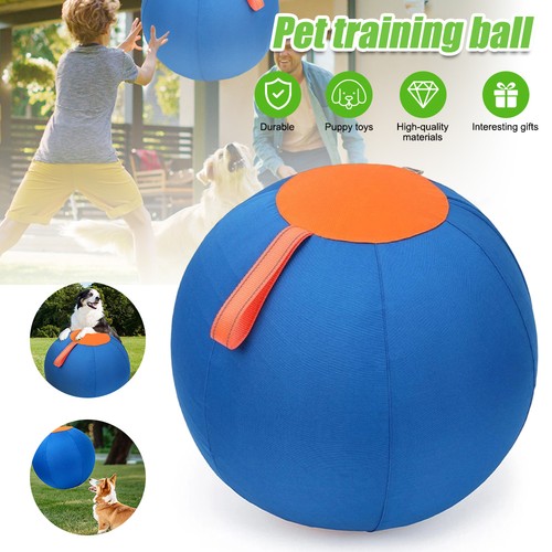 Herding ball anti burst horse - herding,
