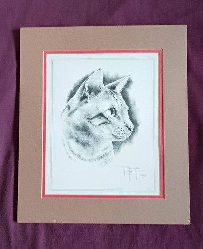 Tony forrest tabby - tony, "tabby"