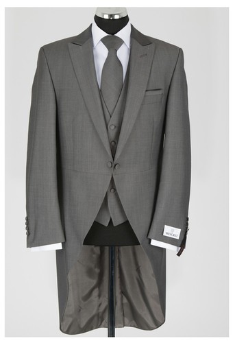 Grey morning coat - morning, tail