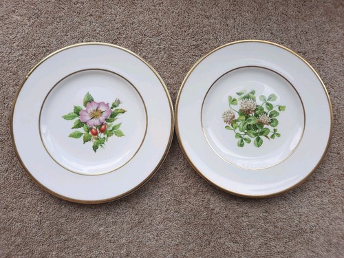 Royal worcester l - 2,