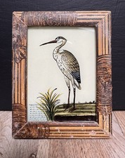 Indian Wading Bird Vintage