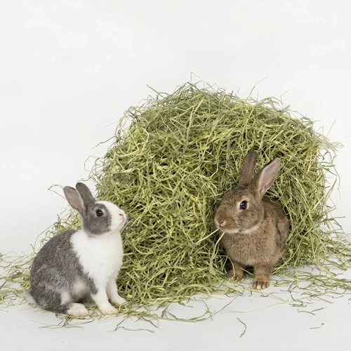 Timothy hay for rabbits - for,
