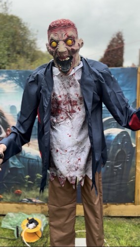 Halloween animated zombie - halloween,