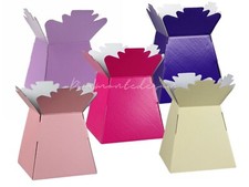 Mothers Day Mix Living Flower