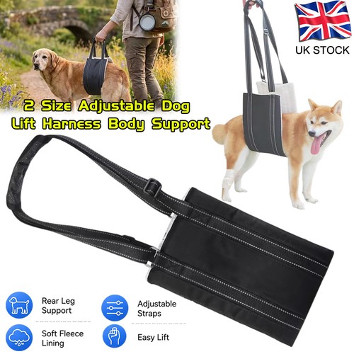 Pet dog mobility aids support - pet,