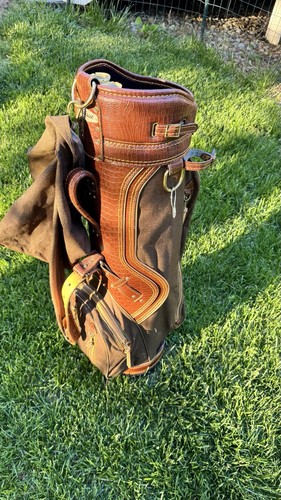 Hornback lizard leather - lizard,