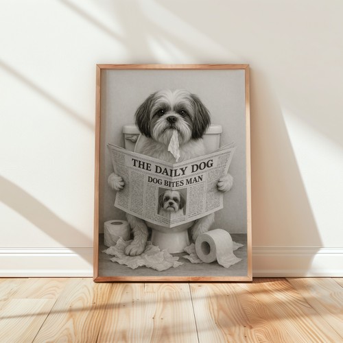 Shih tzu reading - newspaper, in
