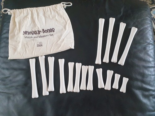 Dinosaur bones match measure - match, &
