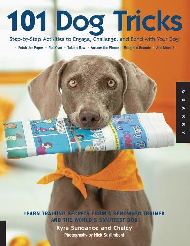 101 dog tricks step - dog,