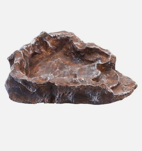 Komodo stone terraced reptile - komodo,