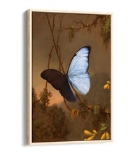 BLUE MORPHO BUTTERFLY PAINTING