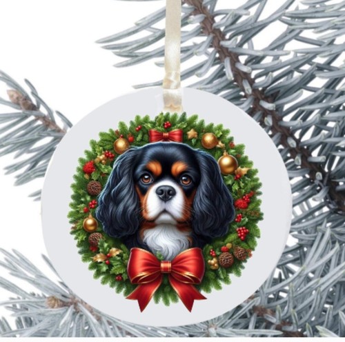 Cavalier king charles spaniel - king,