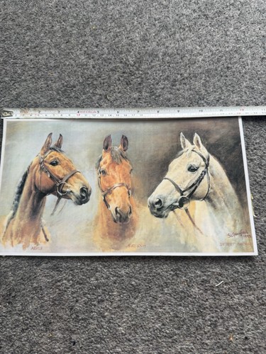 Arkle race horse picture - race,