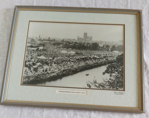 Large professionally framed - large,