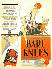 Bare Knees DVD - Virginia Lee Corbin dir. Kenton Silent Comedy Drama Film 1928