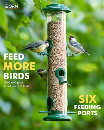 Iborn metal bird feeders - bird, 6