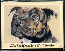 THE STAFFORDSHIRE BULL TERRIER