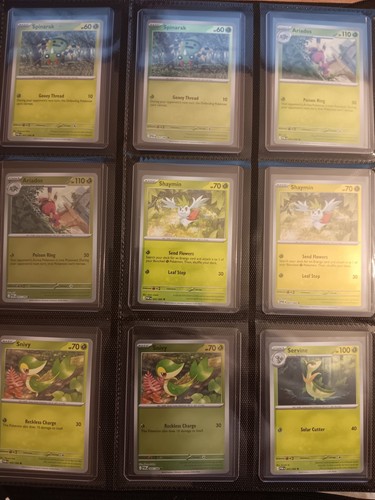 Complete perfect order - complete, master