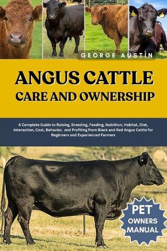 Angus cattle care - angus, and