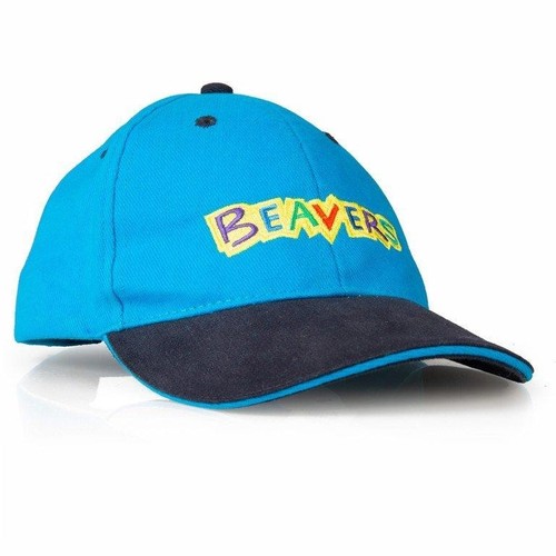 Beaver scouts official - scouts, kids