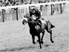 Horse Race Geoff Lewis Riding
