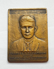 Dahlstrom Metallic Door Bronze