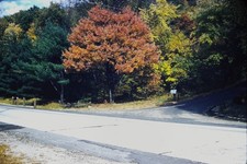 RED BORDER SLIDE Road fork