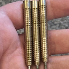 Raymond Van Barneveld Unicorn