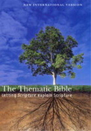 Bible new international - bible:,