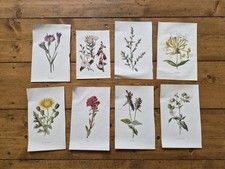 Job Lot Vintage Bookplates