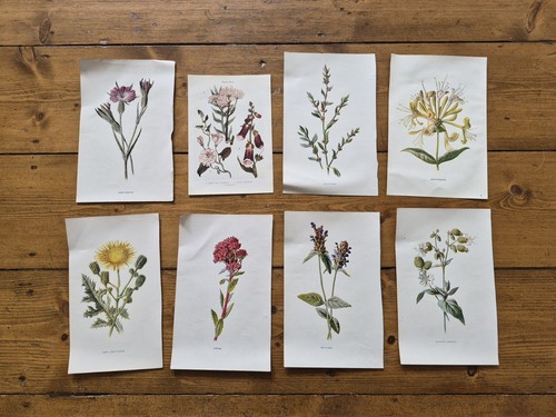 Job lot vintage bookplates - job,