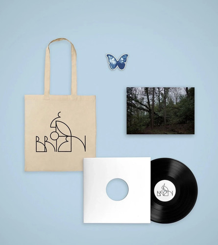 Obrien blue morpho - -,